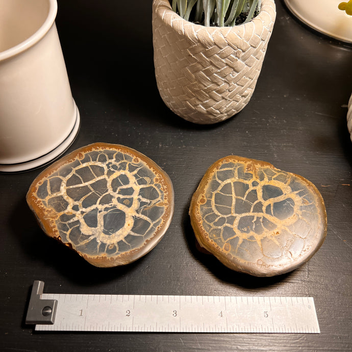 Septarian Nodule Fossil Pairs LARGE (2 Halves)