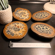 Load image into Gallery viewer, Septarian Nodule Fossil Pairs XLARGE (2 Halves)
