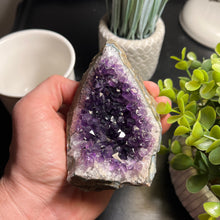 Load image into Gallery viewer, Amethyst Cut Base Size 2 (.80 - 1.2 lbs) Amethyst Druze Geode - Home Decor
