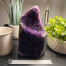 Load image into Gallery viewer, Amethyst Cut Base Size 6 (3.5 - 5.5 lbs) Amethyst Druze Geode - Home Decor
